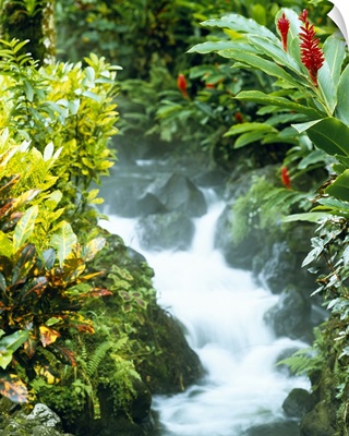 Waterfall in a forest, Tabacon, Costa Rica