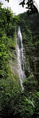 Waterfall in a forest, Waimoku Falls, Haleakala National Park, Maui, Hawaii