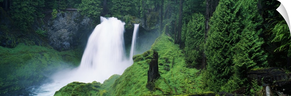 Waterfall in lush green forest