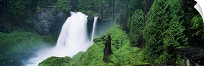 Waterfall in lush green forest