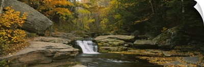 Waterfall in the forest, Kaaterskill Falls, Catskill Mountains, New York State