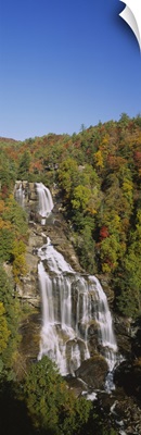 Waterfall in the forest, Whitewater Falls, Nantahala National Forest, North Carolina