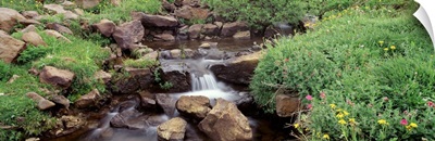 Waterfall Steens Mountain Area OR
