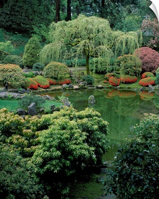 Weeping willow tree and pond in a Japanese Garden, Washington Park, Portland, Oregon