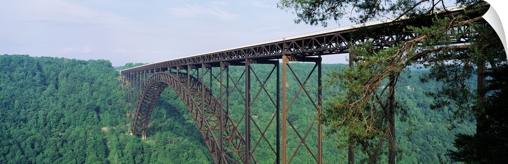 Panoramic photograph of a dense forest of trees surrounding the base of New River Gorge Bridge in West Virginia.