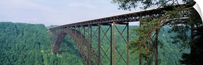 West Virginia, Route 19, Trees around New River Gorge Bridge