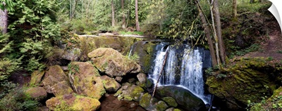 Whatcom Falls Park, Bellingham, Whatcom County, Washington State