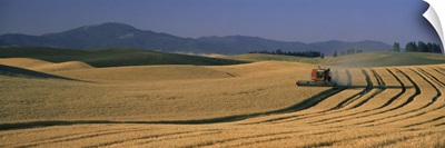 Wheat Fields Palouse Country WA