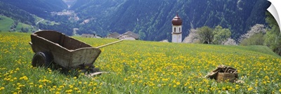 Wheelbarrow in a field, Austria