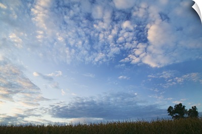 Wide angle view of clouds over silhouetted field, Iowa