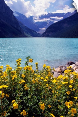 Wildflowers in bloom, Lake Louise, Alberta, Canada.