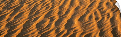 Wind blown Sand TX