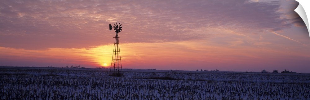 Windmill Cornfield Edgar County IL