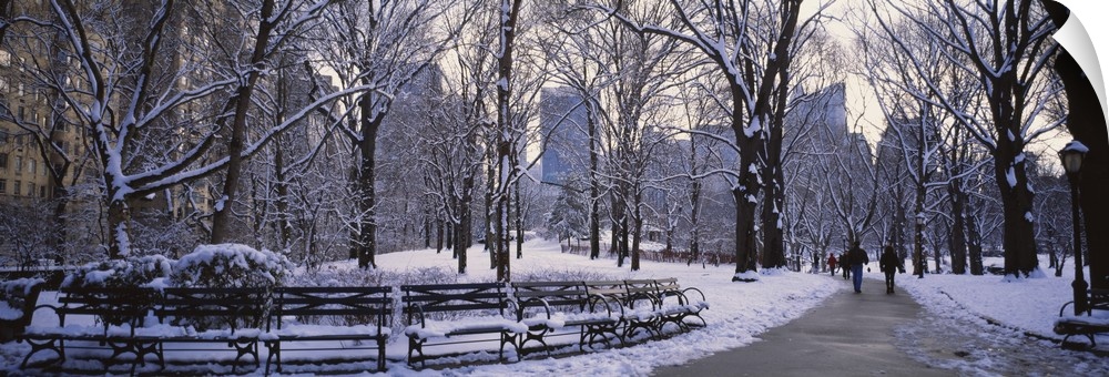 Big, landscape photograph of New York's Central Park in the snow with downtown Manhattan in the background.  Two people wa...