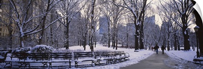 Winter Central Park NY