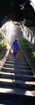 Woman Ascending Stairs OR