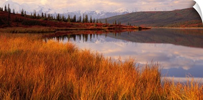 Wonder Lake & Alaska Range Denali National Park AK