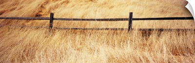 Wooden fence in the dry grass, Mt Tamalpais, Marin County, California