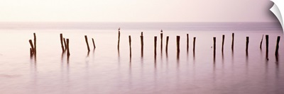 Wooden post in a river, Port Mahon Fishing Pier, Port Mahon, Delaware River, Delaware