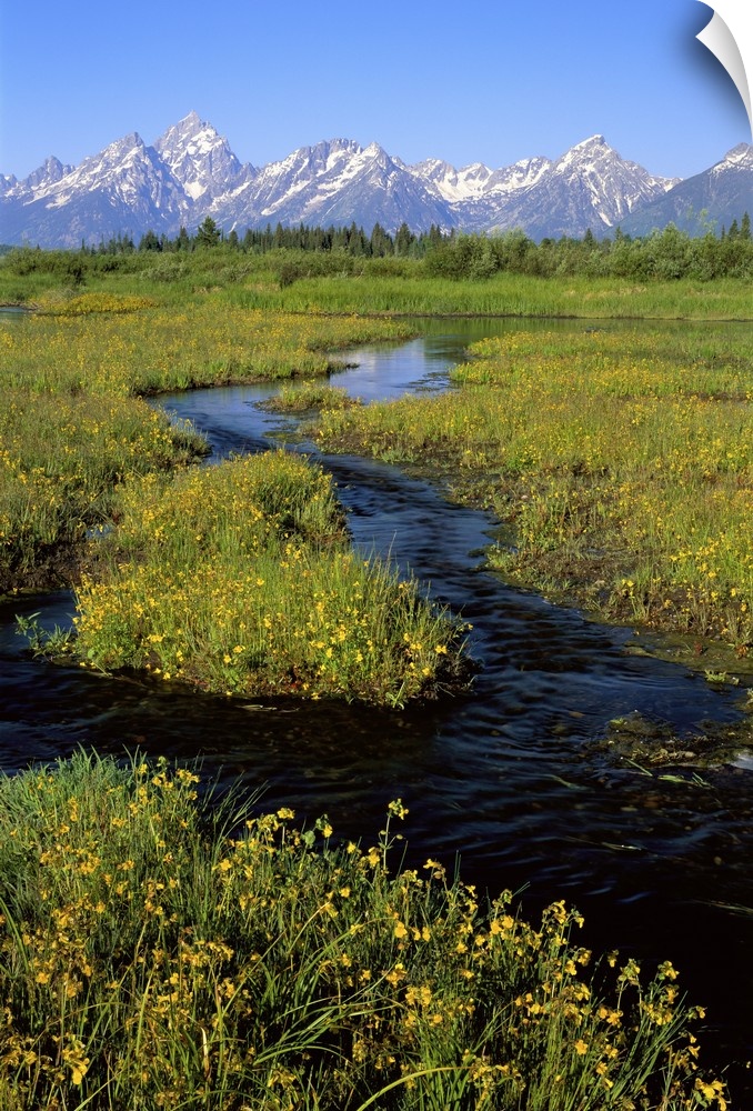 Wyoming, Grand Teton National Park, Water flowing through the landscape