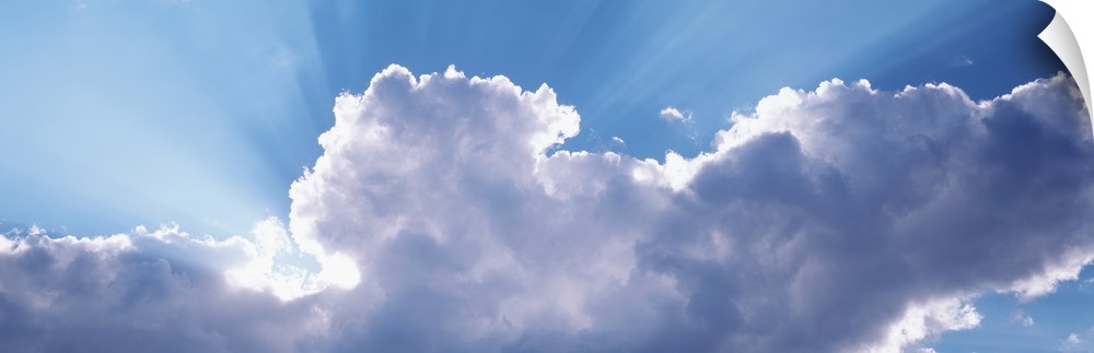 This is a panoramic photograph looking up into a cluster of cumulus clouds and the sunlight radiating out from behind them.