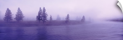 Wyoming, View of trees lining a misty river