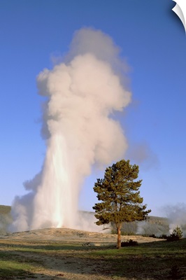 Wyoming, Yellowstone National Park, Old Faithful, Steam and water erupting from thermal pool