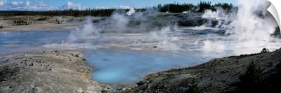 Wyoming, Yellowstone National Park, Porcelain Basin, View of the Norris Geyser Basin