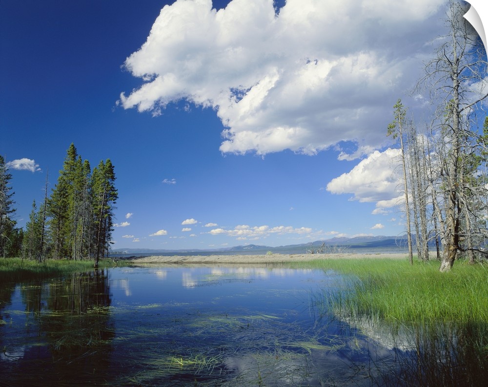 Large photo on canvas of a lake with clouds and a forest reflected in it.