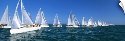 Yacht Race Key West FL