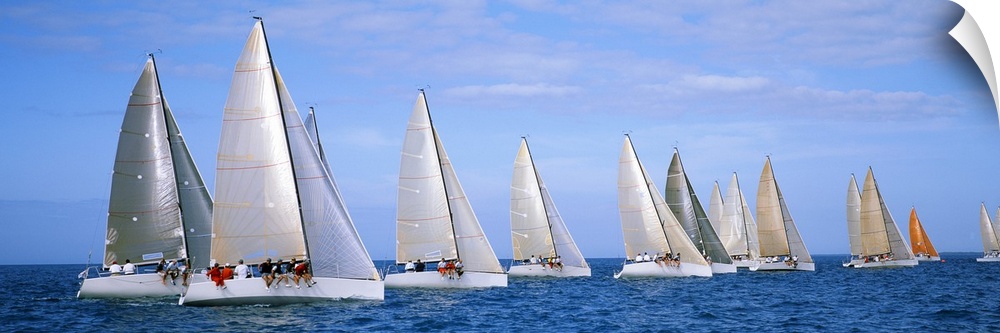Panoramic photograph taken of several yachts that are sitting in line with each other in the ocean.