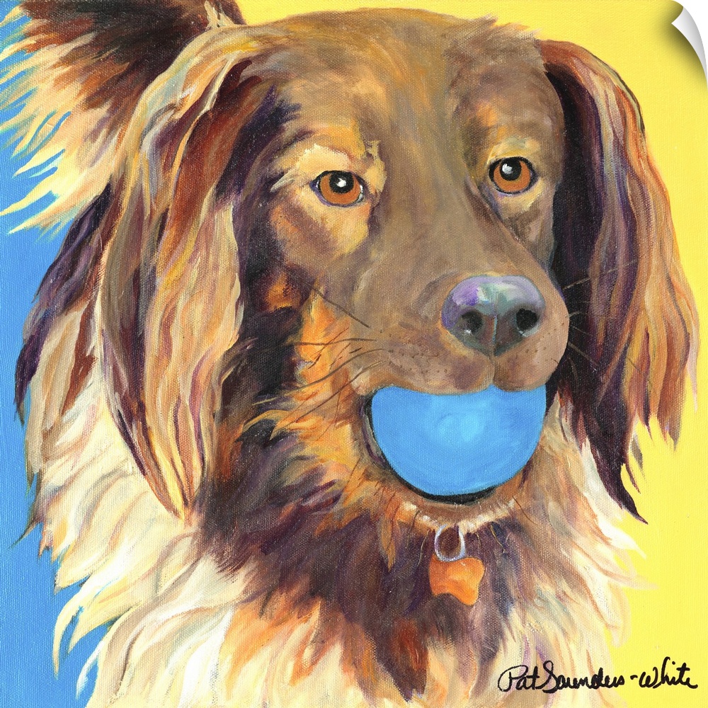 brown dog with blue ball