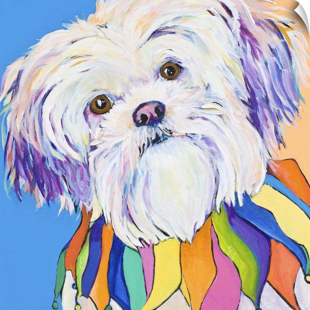 Contemporary artwork of a white shih-tzu dog with a colorful collar.
