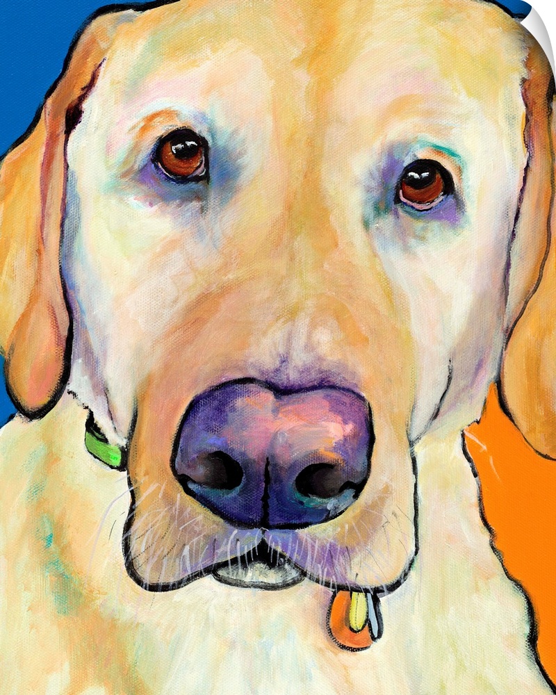 Contemporary portrait of a yellow labrador.