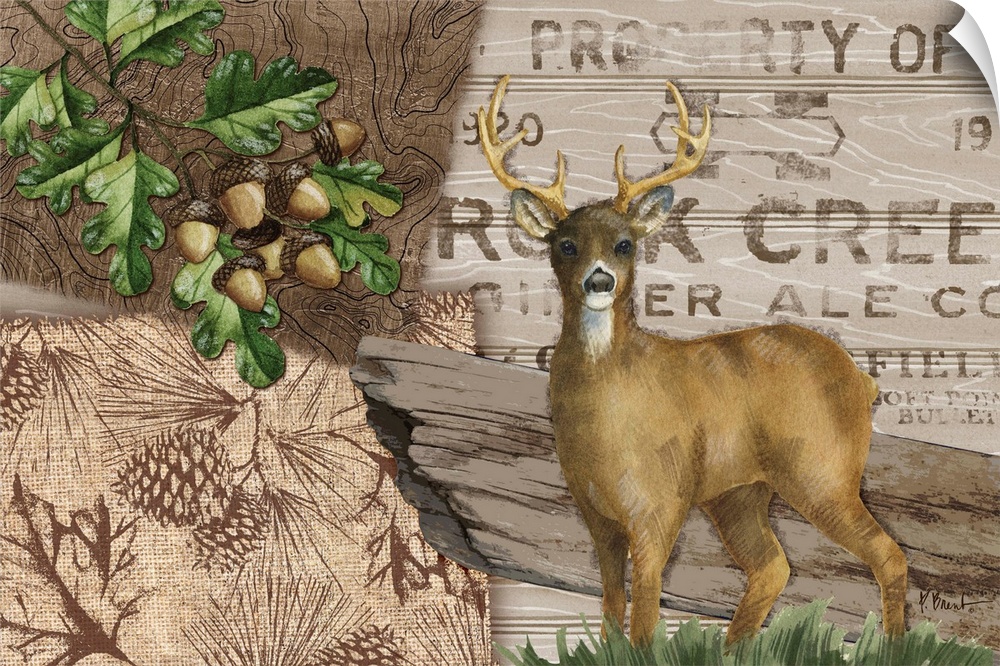 Collage of woodland elements including a deer, acorns, and a property sign.