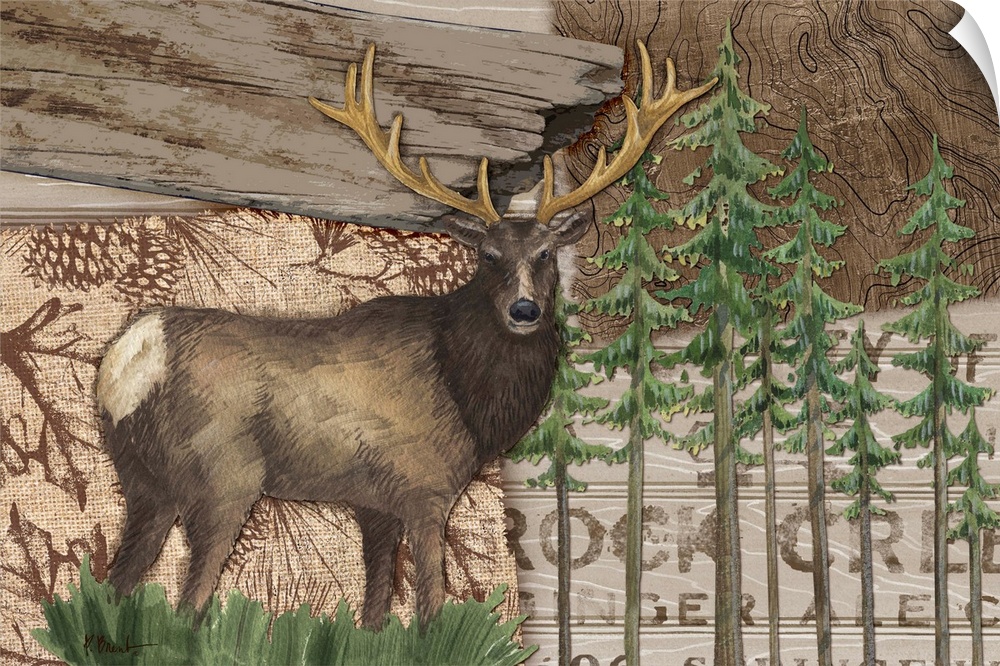 Collage of woodland elements including an elk, trees, and a property sign.