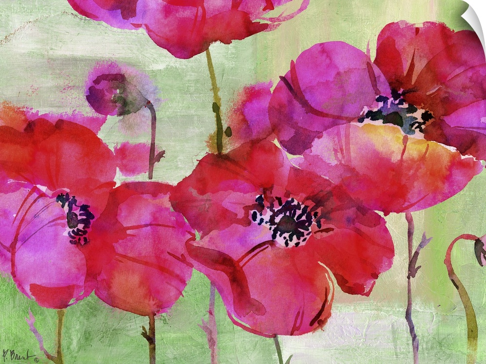 Vibrant pink watercolor flowers.