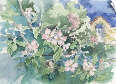 Apple Blossom Garden - Honfleur, France