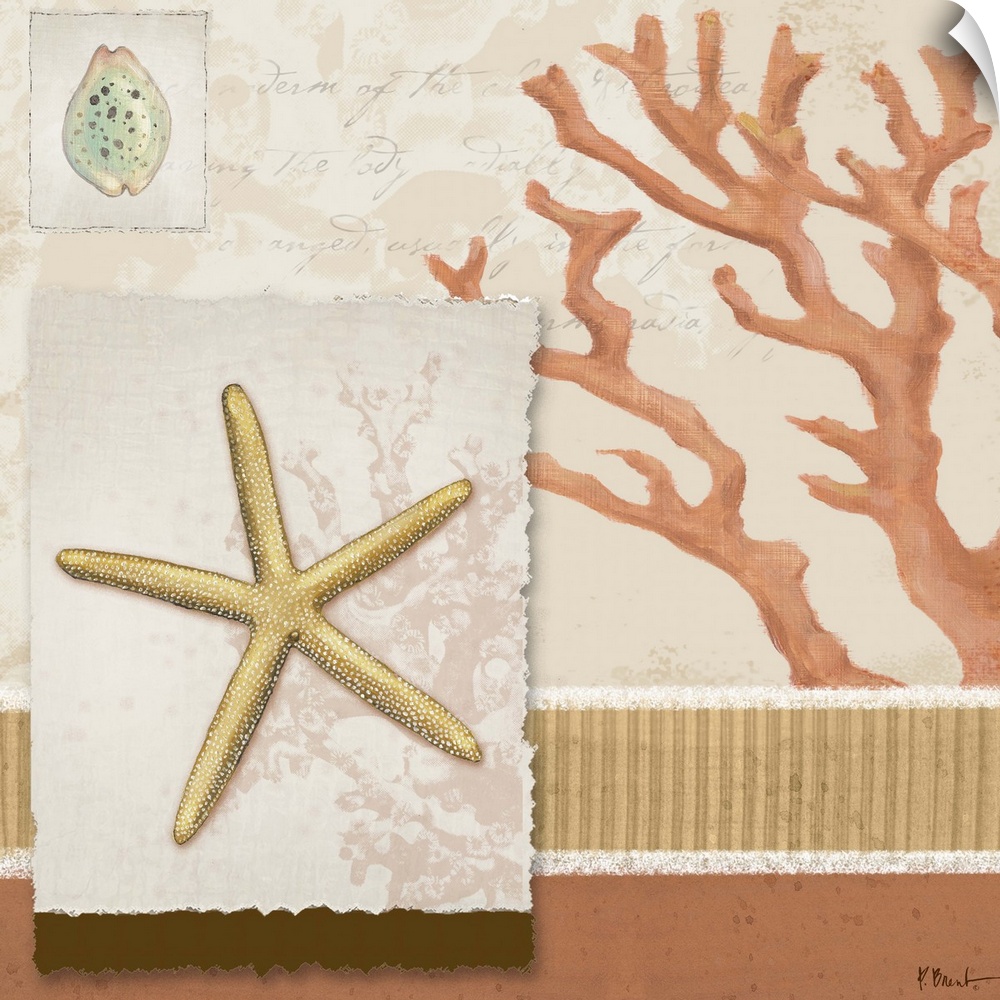 Decorative panel made of nautical-themed elements, including a coral silhouette, a small shell, and a starfish.
