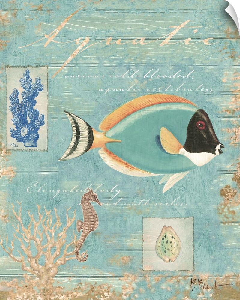 Collage of a tropical fish and other marine elements, including shells and coral.