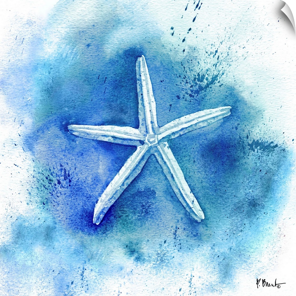 Watercolor starfish.