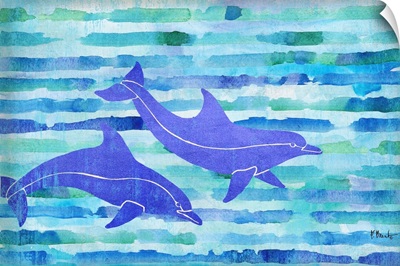 Aurora Dolphins