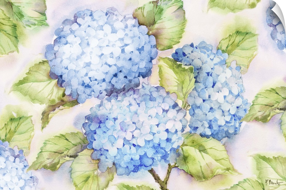 Large watercolor painting of blue hydrangeas and their green leaves on a white background.