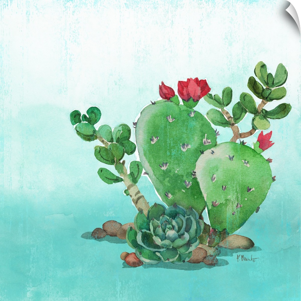 Square watercolor painting of cacti and a succulent on a light blue and white background.