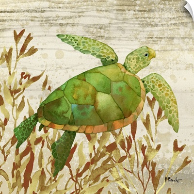 Calypso Turtles III