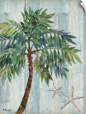 Clearwater Palm I