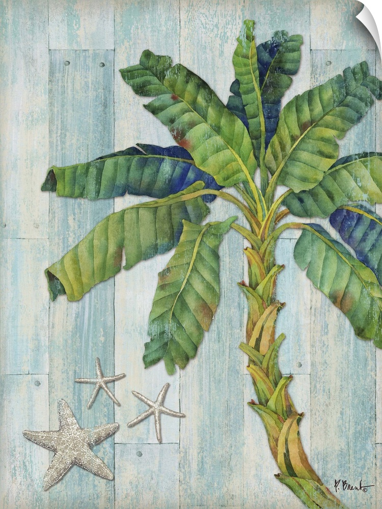 Blue and green toned palm tree with two starfish on a blue and tan distressed faux wood background.