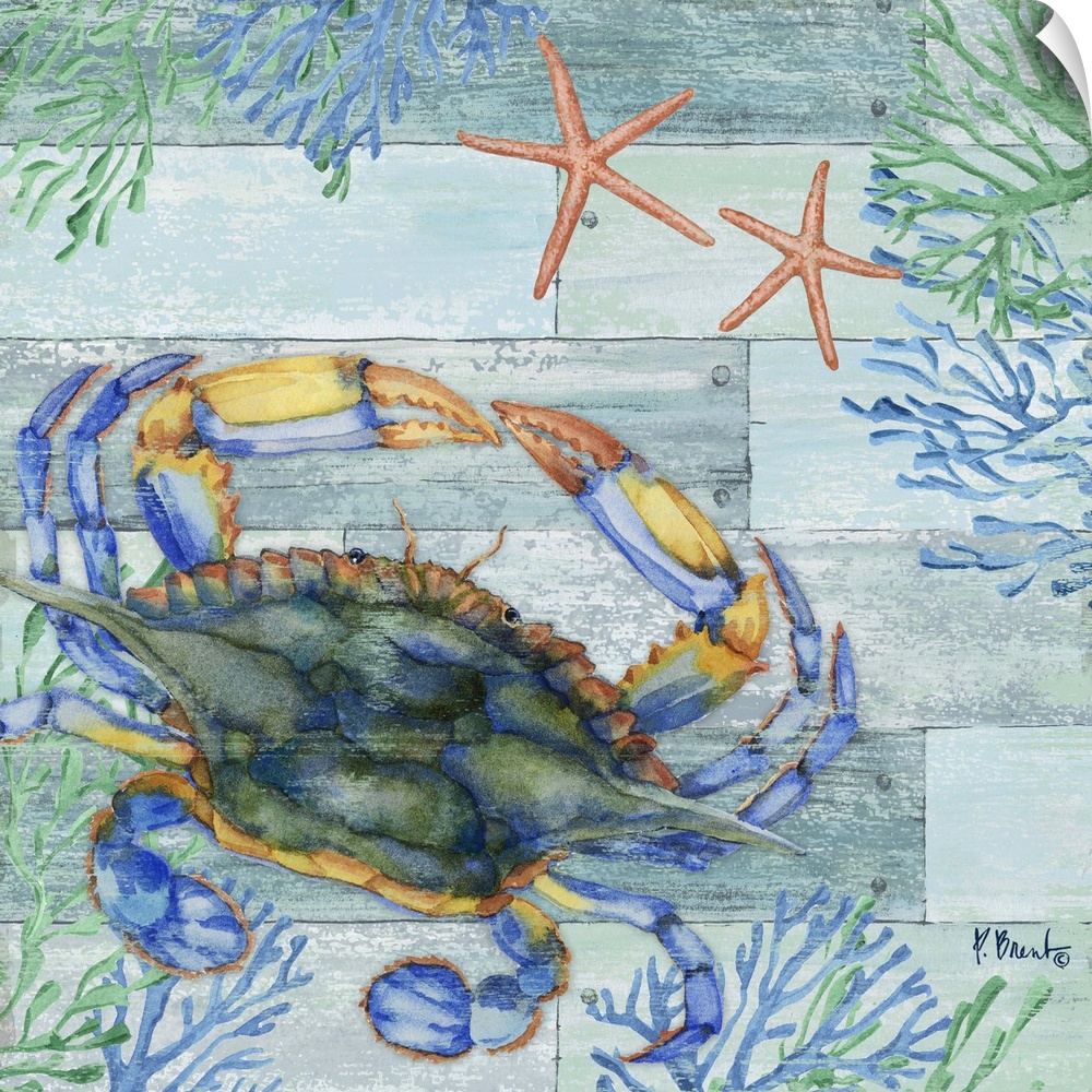 Square beach decor with a crab, starfish, and seaweed in blue and green tones on a faux wood background.