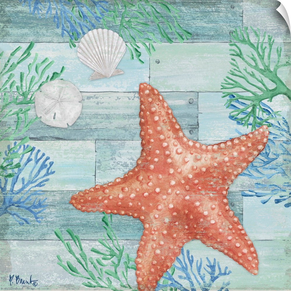 Square beach decor with a starfish, seashell, sand dollar, and seaweed in blue and green tones on a faux wood background.