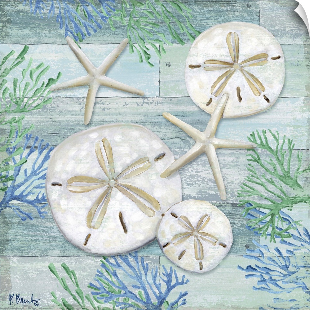 Square sand dollar, starfish and coral decor in light blue, green, and white.